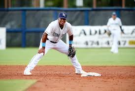 1 prospect in baseball the past two years, is expected • everything you need to know about franco. Rays To Add Wander Franco To 60 Man Player Pool Mlb Trade Rumors