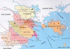Các nhà khoa học của viện chăn nuôi đã nghiên cứu thành công và làm chủ công nghệ nhân bản lợn ỉ từ tế bào soma mô tai (trưởng thành). Diá»‡n Tich Tá»'i Thiá»ƒu Ä'Æ°á»£c Phep Tach Thá»­a Tren Ä'á»‹a Ban Thanh Phá»' Háº£i Phong