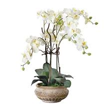 Prêt à être mis en pot et greffé. Pureday Plante Artificielle Orchidee Avec Pot En Ceramique Brun Achat Vente Fleur Artificielle Soldes Sur Cdiscount Des Le 20 Janvier Cdiscount