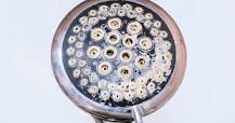 Image result for how do i get black mold off my shower head