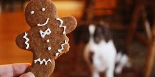 These low calorie dog treats can be kept in the fridge for a couple of months, or in the freezer for up to three months. Christmas Dog Treat Recipe With Bananas Low Fat Treat Rover Will Love