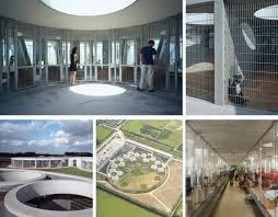 Repackaging And Rebranding The Business Of Dog Rescue Shelter Dogs Animal Shelter Shelter Design