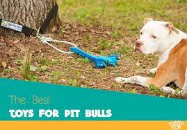 In fact, some people don't even know that the name pitbull belongs to dogs. Our 5 Highest Rated Indestructible And Chew Toys For Pit Bulls