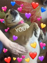 Follow Pinterest Magical Things For Moreee Beautiful Pins Wholesome Memes Memes Love Memes