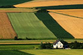 We did not find results for: Farming Agriculture Growing Food