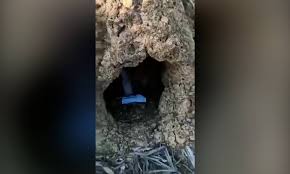Watch edu_lazaro clips on twitch. Video Policiais Encontram Vela Com Nome De Lazaro Durante Buscas A Serial Killer No Mato Jornal O Globo