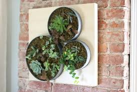 Diy Vertical Succulent Garden Ehow S Ikea Lack Hack Projectthrowdown Challenge Vertical Succulent Gardens Ikea Garden Ikea Lack Table