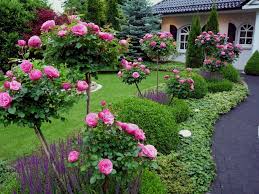 See more of mein schöner garten on facebook. Http Foto Mein Schoener Garten De Rose Garden Landscape Modern Garden Garden Design