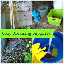 And for us humans it's easier to clean after them. How To Clean A Chicken Coop Backyard Poultry