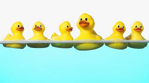 On the second day read the book and in a class of twenty children, for instance, ten children might create pages for a book about five teach ordinal numbers. Rubber Duck Wallpapers Top Free Rubber Duck Backgrounds Wallpaperaccess