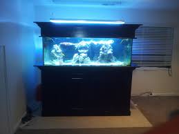 14 Splendid Diy Aquarium Furniture Ideas To Beautify Your Home With Images Diy Aquarium 55 Gallon Aquarium Stand Aquarium Stand