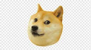 Check spelling or type a new query. Doge Png Images Pngwing