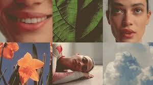 Natalie Amaral's Instagram, Twitter & Facebook