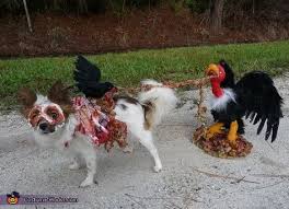Bildergebnis Fur Halloween Zombie Dog Halloween Kostume Fur Hunde Hund Halloween Tierkostum