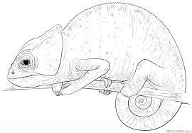 Draw two ovals for the head and body of the chameleon. How To Draw A Chameleon Step By Step Drawing Tutorials For Kids And Beginners Drawing Tutorial Coloring Pages Dinosaur Coloring Pages