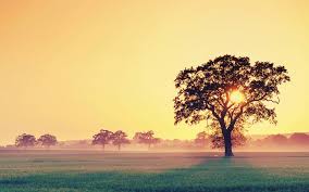 Laptop background wallpaper 1080p download. Laptop Wallpaper Hd 1080p Free Download Wallpaperxyz Com 13 The Best Wallpaper Full Hd Free Download