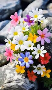 Epifania Contreras (epifaniacontreras88)