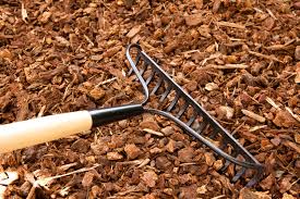 Maybe you would like to learn more about one of these? Mulch Is Key To A Healthy Austin Tree Austintexas Gov