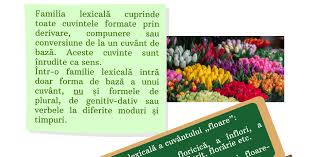 Familie lexicală a unui cuvânt nu trebuie confundată cu paradigma flexionară a unui cuvânt. Familia Lexicala R E I Resurse EducaÈie IncluzivÄ
