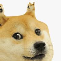 Dogecoin is a type of cryptocurrency, which basically means. Doge Is Luv Gifs Get The Best Gif On Giphy