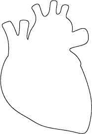 We did not find results for: Download Hd Human Heart Drawing Png Svg Free Library Anatomical Heart Drawing Simple Transparent Png Image Nicepng Com