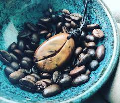 coffee beans 台灣肖楠木咖啡豆 原木 木頭 咖啡豆 fruit blueberry beans