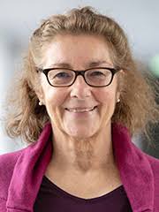 Office : Research Training Group 2530 (RTG 2530) Biota-mediated effects