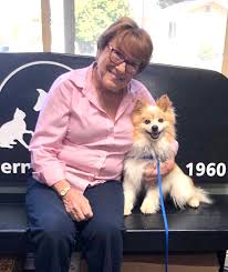 Maybe you would like to learn more about one of these? Dogs For Adoption Rancho Coastal Humane Society