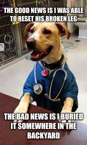 Livememe Com Dr Dog