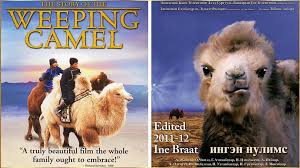 The story of the weeping camel is a 2003 mongolian documentary produced by thinkfilm. The Story Of The Weeping Camel Video Dailymotion