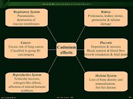 Cadmium Reproductive Toxicity