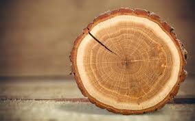 How Do You Measure Roundwood Timbeter