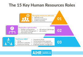 18 Key Human Resources Roles - Aihr - Academy To Innovate Hr