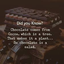  National Chocolate Day Chocolate Quotes Dessert Quotes Chocolate Humor