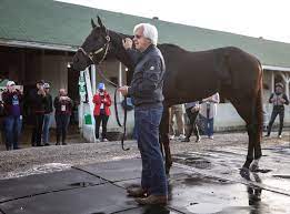 The preakness stakes is the shortest of the three triple crown races. Alubb8ir0futpm