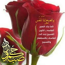 صباحكم ورد bonjour