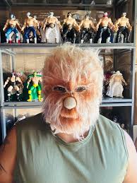 Alushe Lucha Libre Mask Mexican Wrestling Adult Luchador Costume Luchadores