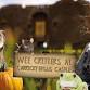  CRITTERS AT CARRICKFERGUS CASTLE! event image