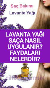 Lavanta Yaginin Saca Faydalari Nelerdir In 2021