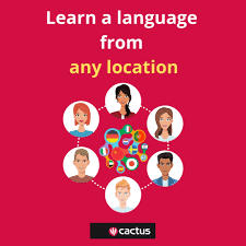 I would say it's cactus. Cactus Language Cactuslanguage Twitter