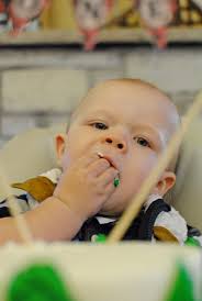 Lumberjack Party: Bear's First Birthday