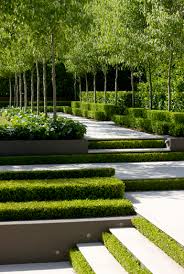 What Are Those Taller Trees They Would Be Perfect Up Against The Back Fence To Create Some Extra Privacy Tuin Tuin Ideeen Tuin Trappen