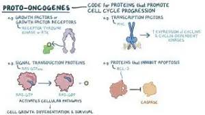 Image result for Oncogene