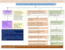 Procedure For Export