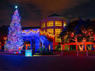 Commercial Christmas Lights & Decorations