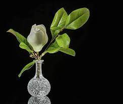 Pin On Deeply Southern