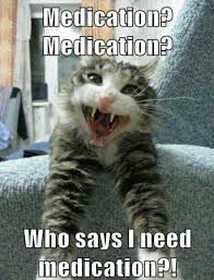 Funny Cat Cats Funny Cat Photos Funny Cat Pictures Funny Animal Pictures