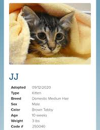 Garbage Pail Kittens Part 2 Album On Imgur