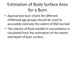 estimation of body surface area for a burn ppt download