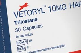 New Lower Starting Dose For Vetoryl Vet Times